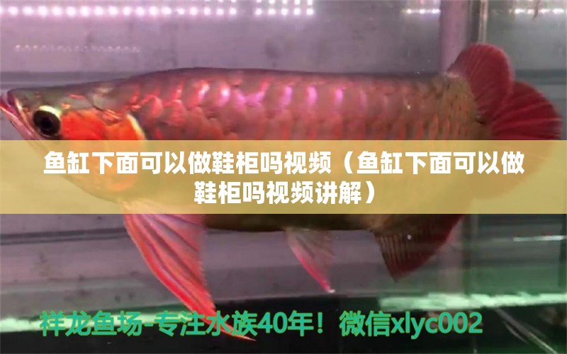 魚缸下面可以做鞋柜嗎視頻（魚缸下面可以做鞋柜嗎視頻講解） 祥龍水族醫(yī)院