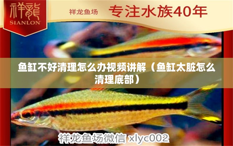 魚缸不好清理怎么辦視頻講解（魚缸太臟怎么清理底部）