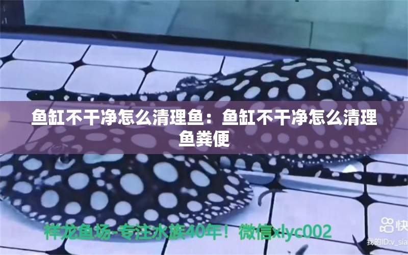 魚(yú)缸不干凈怎么清理魚(yú)：魚(yú)缸不干凈怎么清理魚(yú)糞便