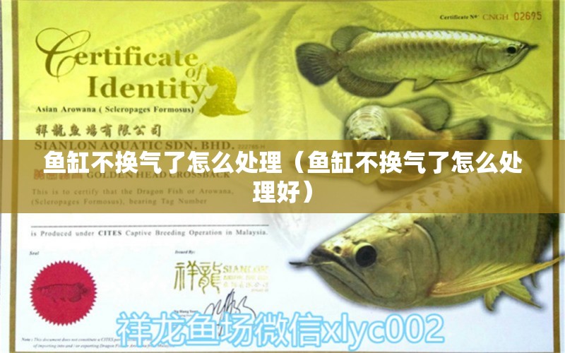 魚缸不換氣了怎么處理（魚缸不換氣了怎么處理好）