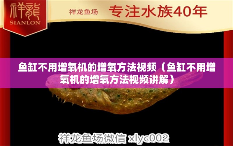 魚缸不用增氧機的增氧方法視頻（魚缸不用增氧機的增氧方法視頻講解）