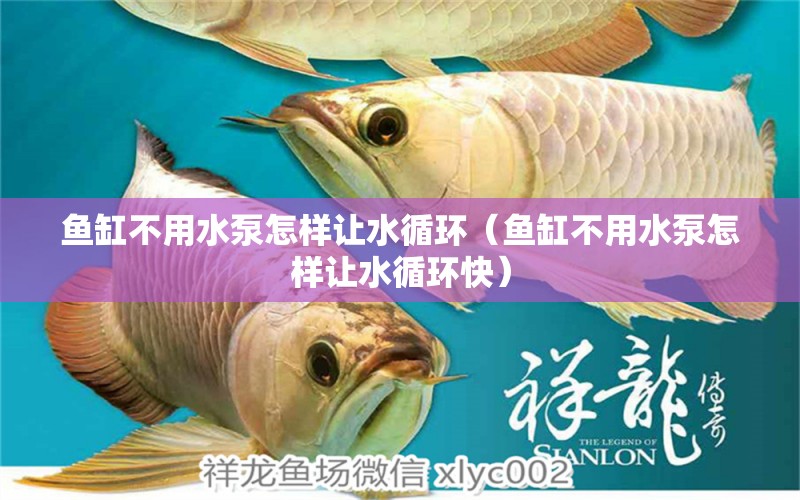 魚缸不用水泵怎樣讓水循環(huán)（魚缸不用水泵怎樣讓水循環(huán)快）