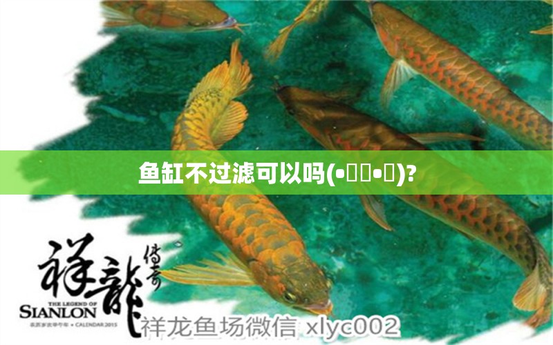 魚缸不過濾可以嗎(?????)?