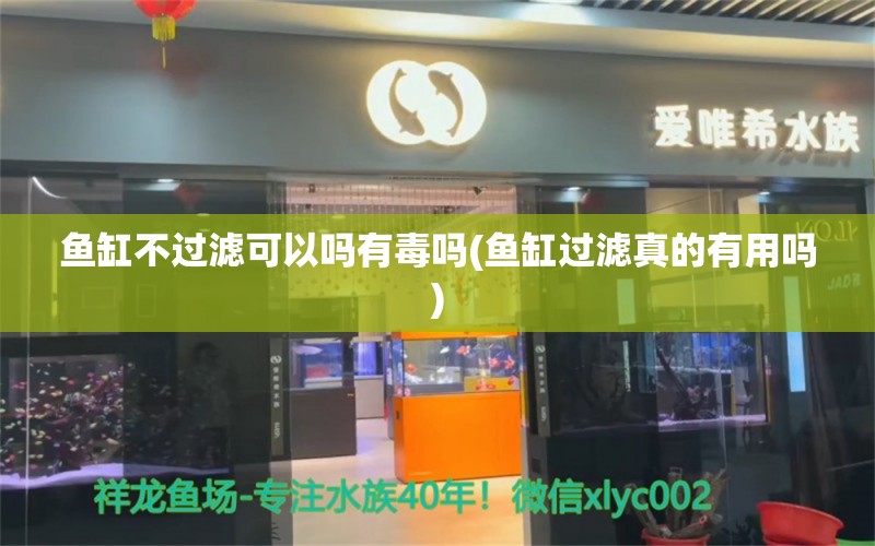 魚缸不過濾可以嗎有毒嗎(魚缸過濾真的有用嗎) 祥龍金禾金龍魚