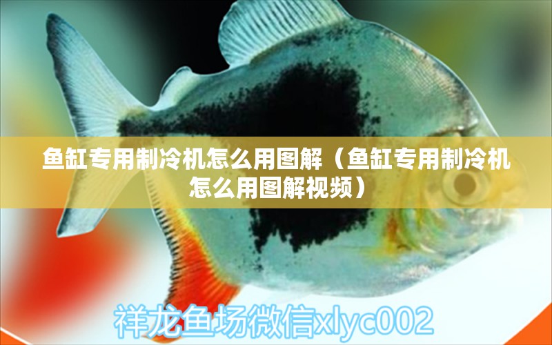 魚(yú)缸專用制冷機(jī)怎么用圖解（魚(yú)缸專用制冷機(jī)怎么用圖解視頻）