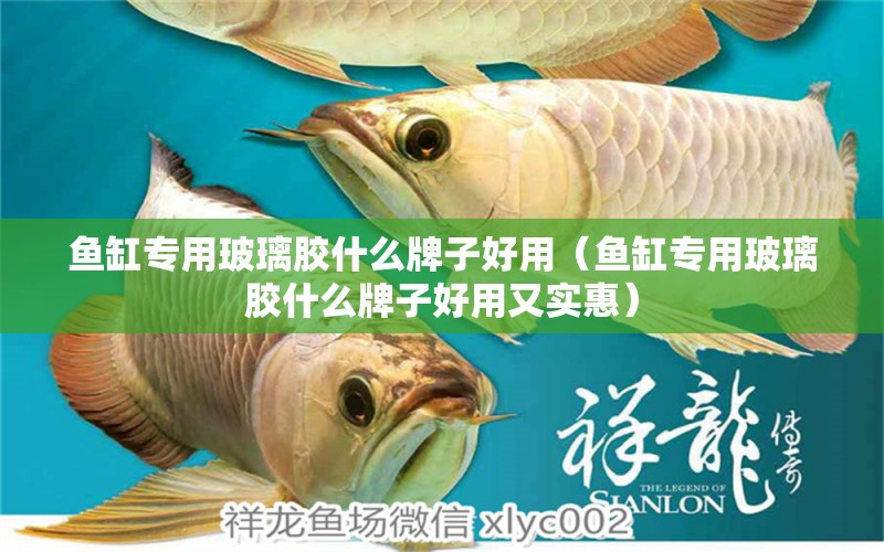 魚缸專用玻璃膠什么牌子好用（魚缸專用玻璃膠什么牌子好用又實惠）