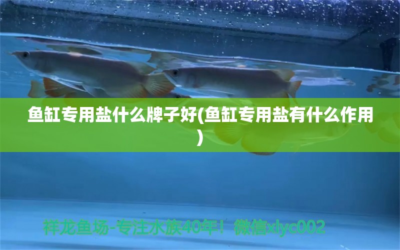 魚缸專用鹽什么牌子好(魚缸專用鹽有什么作用) 一眉道人魚苗 第1張