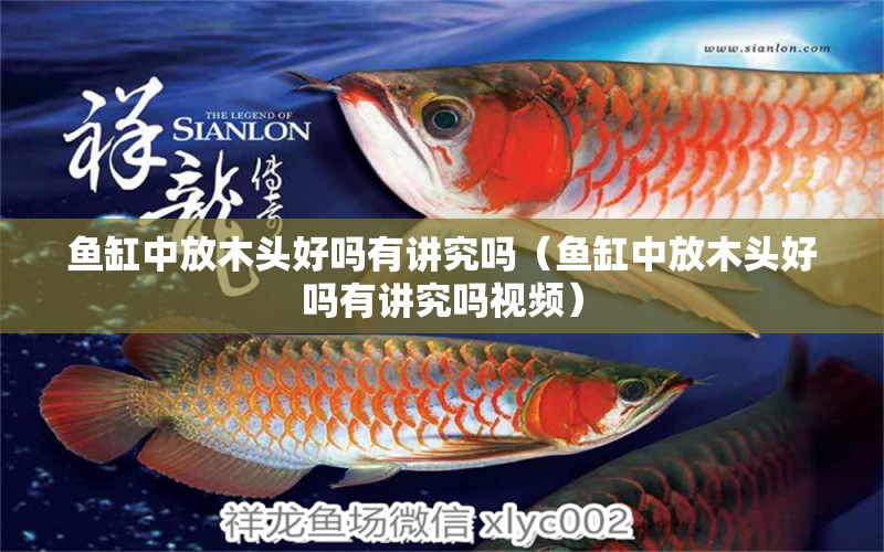 魚缸中放木頭好嗎有講究嗎（魚缸中放木頭好嗎有講究嗎視頻）