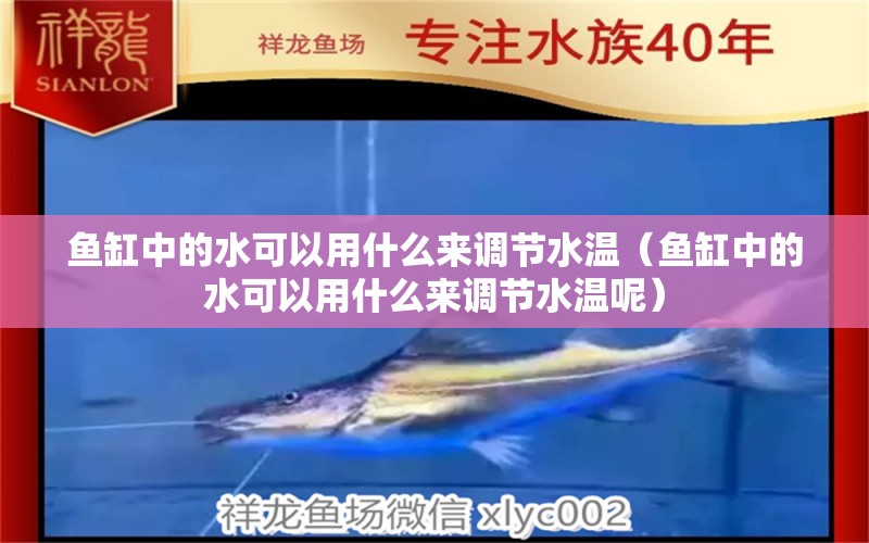 魚缸中的水可以用什么來(lái)調(diào)節(jié)水溫（魚缸中的水可以用什么來(lái)調(diào)節(jié)水溫呢） 祥龍水族醫(yī)院