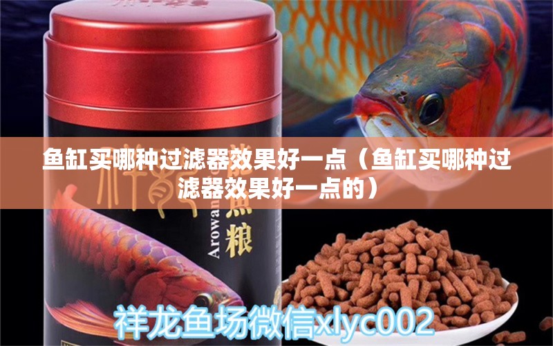 魚缸買哪種過濾器效果好一點(diǎn)（魚缸買哪種過濾器效果好一點(diǎn)的） 祥龍水族醫(yī)院