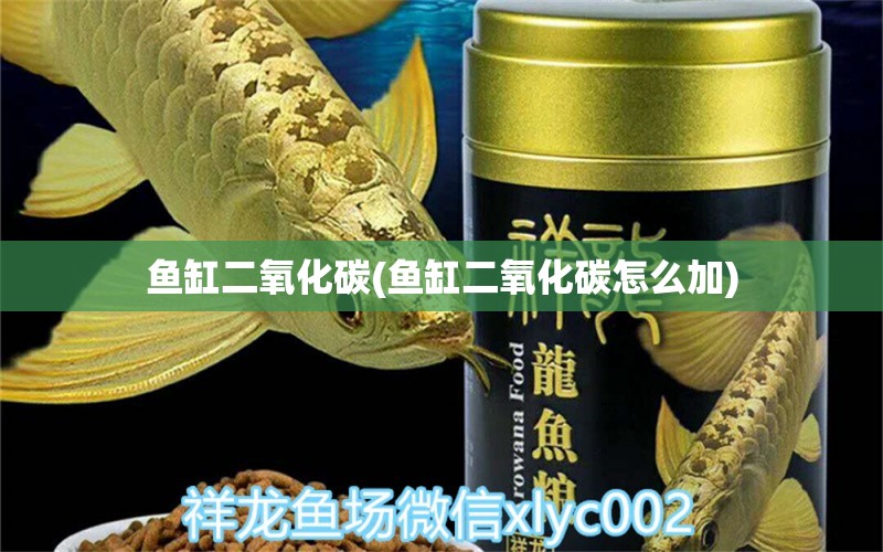 魚(yú)缸二氧化碳(魚(yú)缸二氧化碳怎么加) 二氧化碳設(shè)備