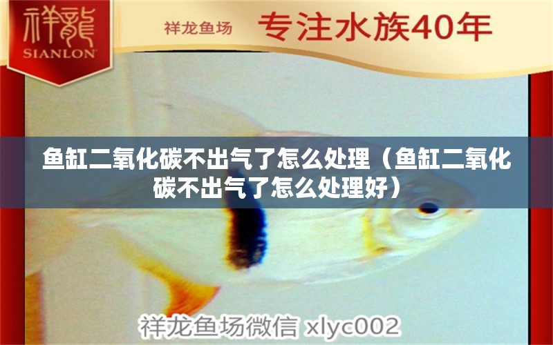 魚缸二氧化碳不出氣了怎么處理（魚缸二氧化碳不出氣了怎么處理好）