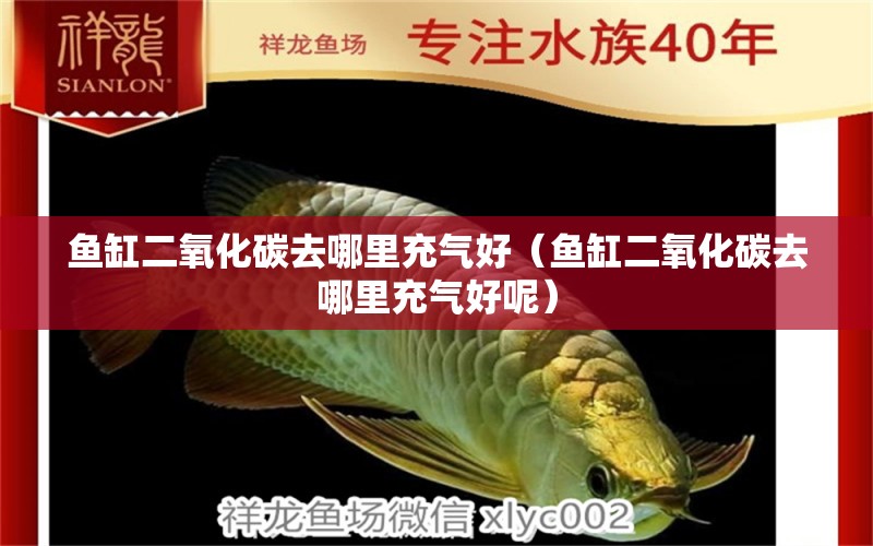 魚缸二氧化碳去哪里充氣好（魚缸二氧化碳去哪里充氣好呢） 二氧化碳設(shè)備