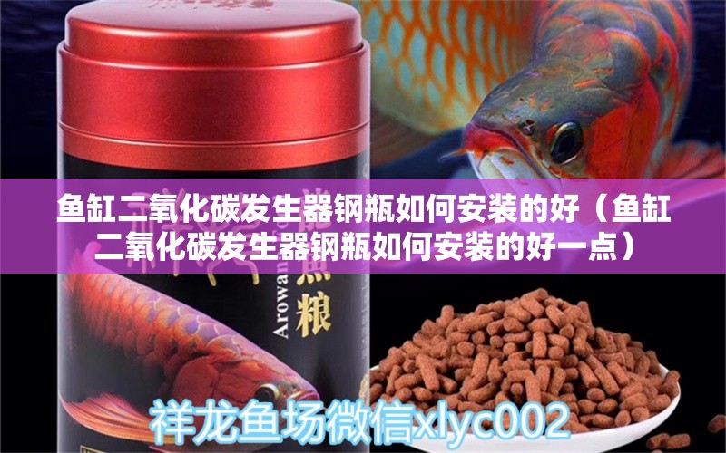 魚缸二氧化碳發(fā)生器鋼瓶如何安裝的好（魚缸二氧化碳發(fā)生器鋼瓶如何安裝的好一點）