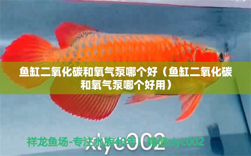 魚缸二氧化碳和氧氣泵哪個好（魚缸二氧化碳和氧氣泵哪個好用）