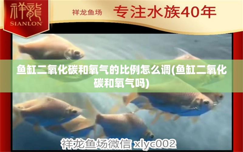 魚缸二氧化碳和氧氣的比例怎么調(diào)(魚缸二氧化碳和氧氣嗎) 二氧化碳設(shè)備