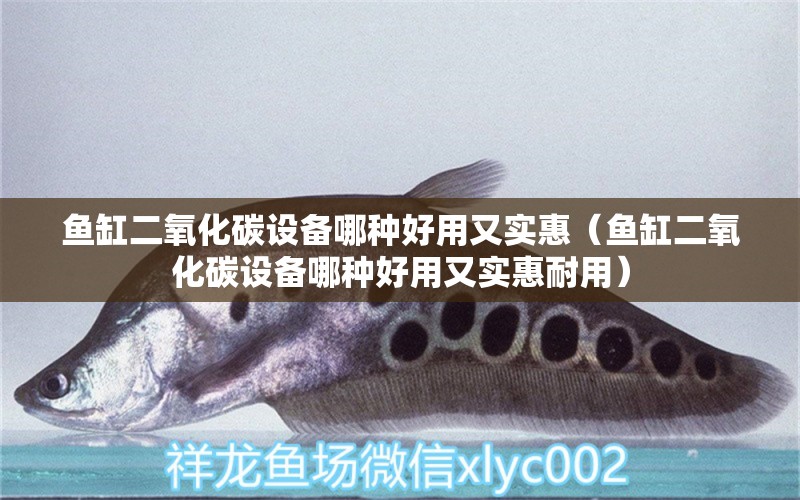 魚缸二氧化碳設(shè)備哪種好用又實惠（魚缸二氧化碳設(shè)備哪種好用又實惠耐用）