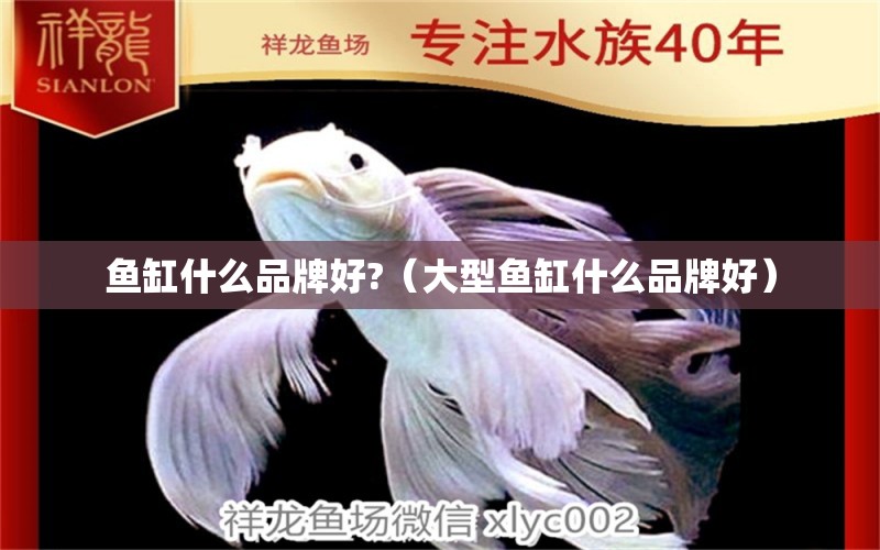 魚缸什么品牌好?（大型魚缸什么品牌好）