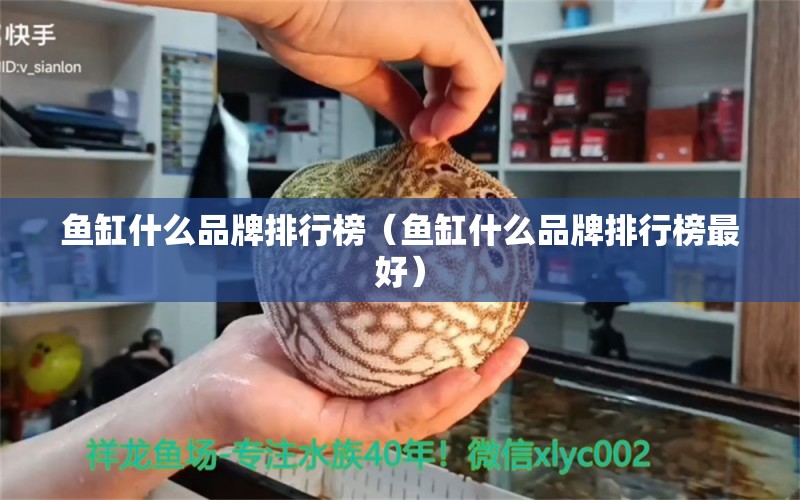 魚缸什么品牌排行榜（魚缸什么品牌排行榜最好） 其他品牌魚缸