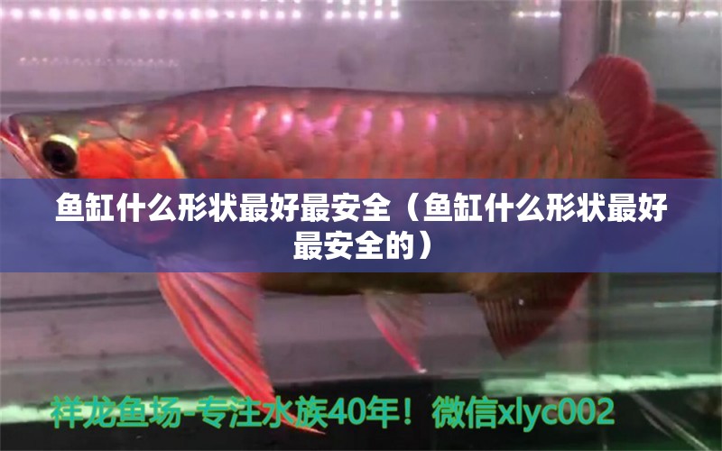 魚缸什么形狀最好最安全（魚缸什么形狀最好最安全的）