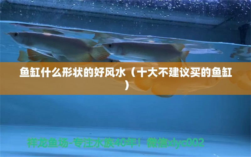 魚缸什么形狀的好風(fēng)水（十大不建議買的魚缸）