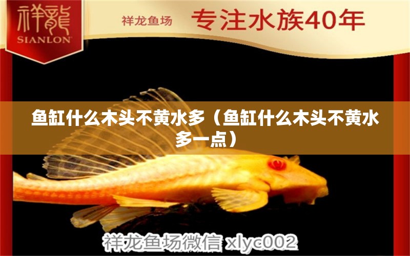 魚缸什么木頭不黃水多（魚缸什么木頭不黃水多一點(diǎn)）