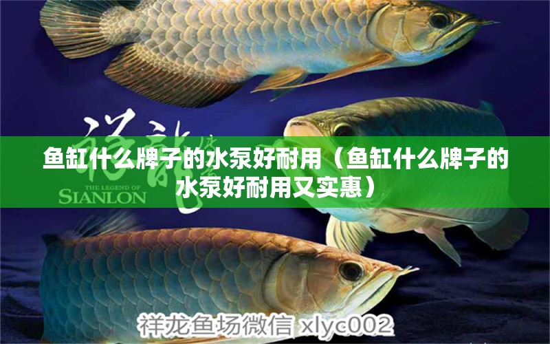 魚(yú)缸什么牌子的水泵好耐用（魚(yú)缸什么牌子的水泵好耐用又實(shí)惠）