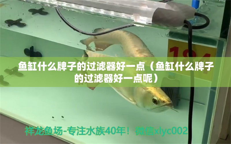 魚缸什么牌子的過濾器好一點(diǎn)（魚缸什么牌子的過濾器好一點(diǎn)呢）