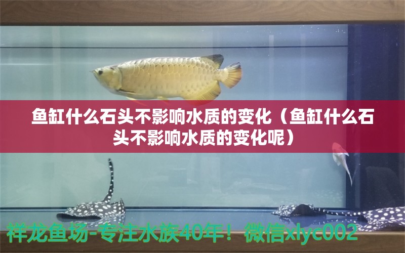 魚缸什么石頭不影響水質(zhì)的變化（魚缸什么石頭不影響水質(zhì)的變化呢） 其他品牌魚缸