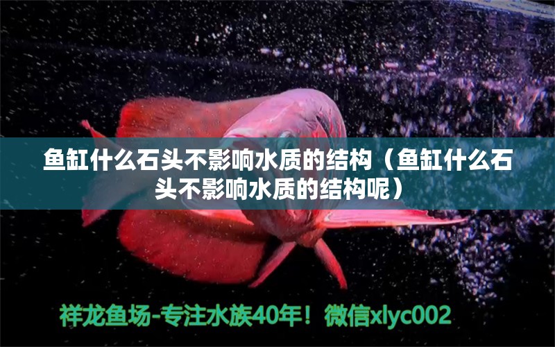 魚缸什么石頭不影響水質(zhì)的結(jié)構(gòu)（魚缸什么石頭不影響水質(zhì)的結(jié)構(gòu)呢）