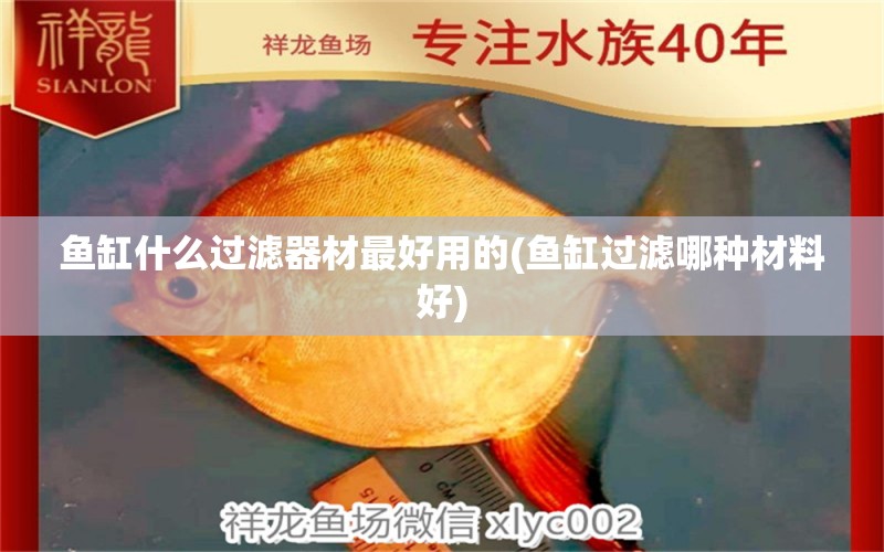 魚缸什么過濾器材最好用的(魚缸過濾哪種材料好) 七紋巨鯉魚