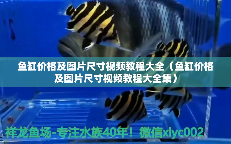 魚缸價格及圖片尺寸視頻教程大全（魚缸價格及圖片尺寸視頻教程大全集）