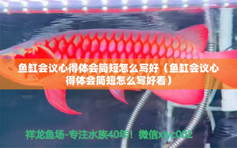 魚(yú)缸會(huì)議心得體會(huì)簡(jiǎn)短怎么寫(xiě)好（魚(yú)缸會(huì)議心得體會(huì)簡(jiǎn)短怎么寫(xiě)好看）