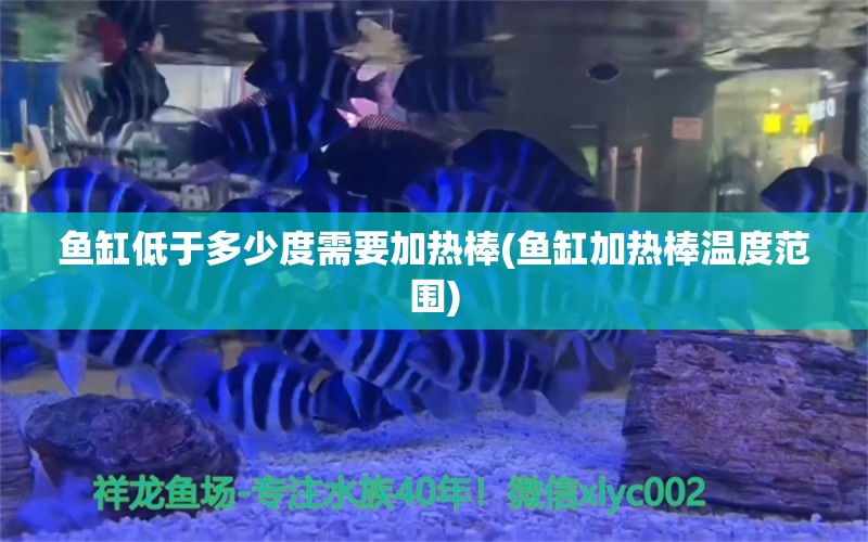 魚缸低于多少度需要加熱棒(魚缸加熱棒溫度范圍) 水族雜談