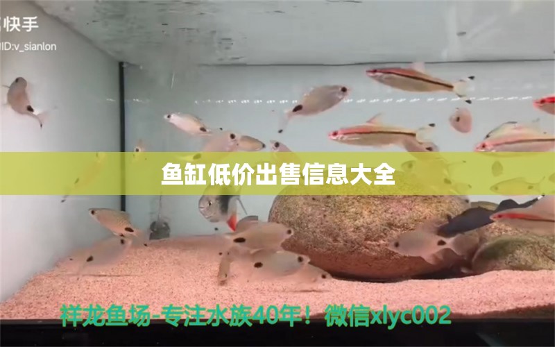 魚(yú)缸低價(jià)出售信息大全