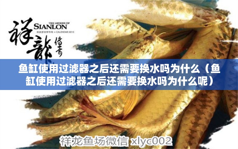 魚(yú)缸使用過(guò)濾器之后還需要換水嗎為什么（魚(yú)缸使用過(guò)濾器之后還需要換水嗎為什么呢）