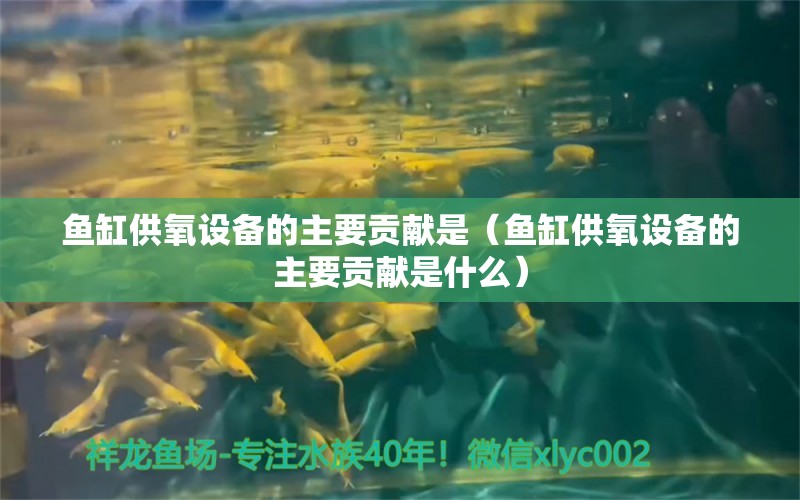 魚缸供氧設(shè)備的主要貢獻是（魚缸供氧設(shè)備的主要貢獻是什么）