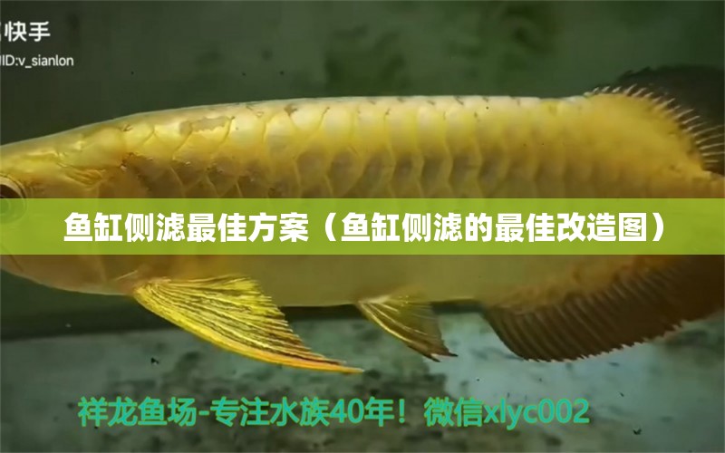 魚缸側(cè)濾最佳方案（魚缸側(cè)濾的最佳改造圖）