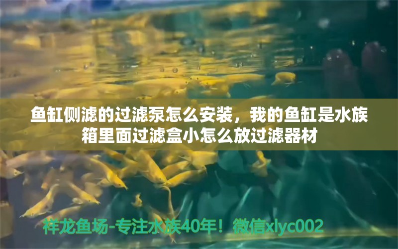 魚缸側(cè)濾的過濾泵怎么安裝，我的魚缸是水族箱里面過濾盒小怎么放過濾器材 魚缸/水族箱 第2張