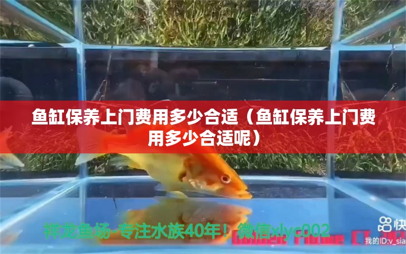 魚缸保養(yǎng)上門費用多少合適（魚缸保養(yǎng)上門費用多少合適呢） 潛水艇魚