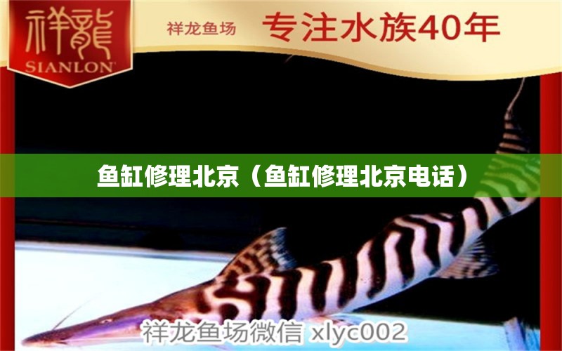 魚缸修理北京（魚缸修理北京電話） 其他品牌魚缸