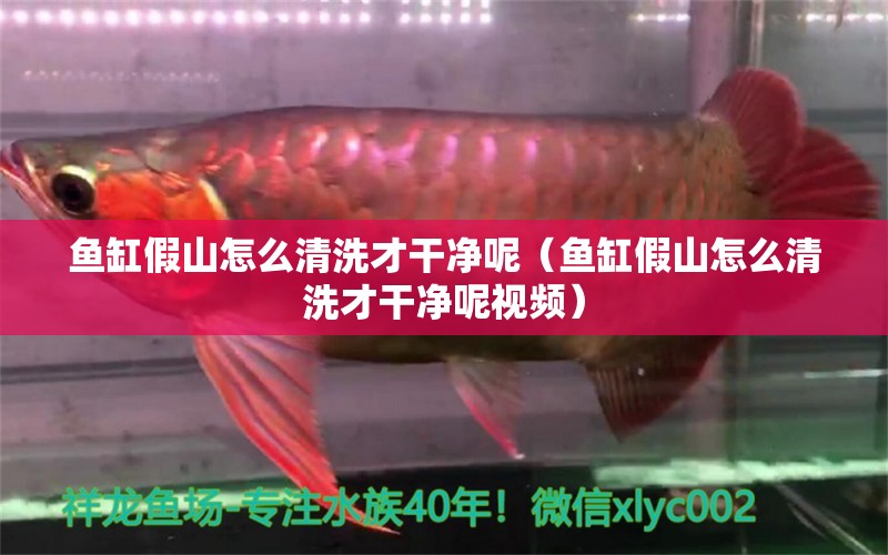 魚缸假山怎么清洗才干凈呢（魚缸假山怎么清洗才干凈呢視頻）