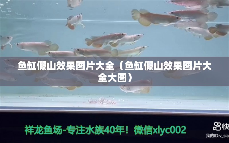 魚(yú)缸假山效果圖片大全（魚(yú)缸假山效果圖片大全大圖）