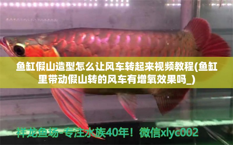 魚缸假山造型怎么讓風(fēng)車轉(zhuǎn)起來視頻教程(魚缸里帶動(dòng)假山轉(zhuǎn)的風(fēng)車有增氧效果嗎_) 申古銀版魚