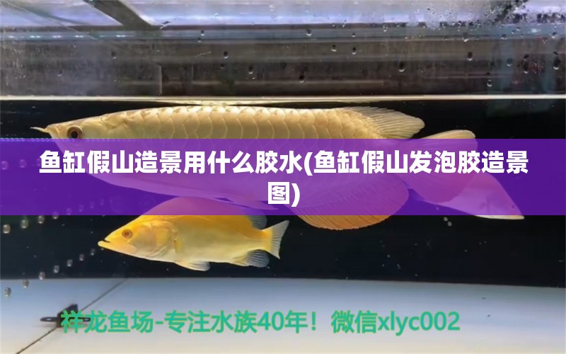 魚缸假山造景用什么膠水(魚缸假山發(fā)泡膠造景圖)