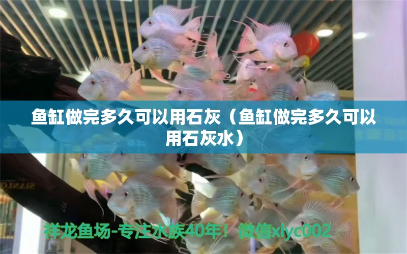 魚缸做完多久可以用石灰（魚缸做完多久可以用石灰水） 祥龍水族醫(yī)院