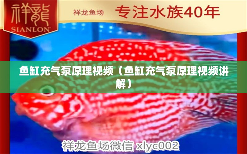 魚缸充氣泵原理視頻（魚缸充氣泵原理視頻講解）