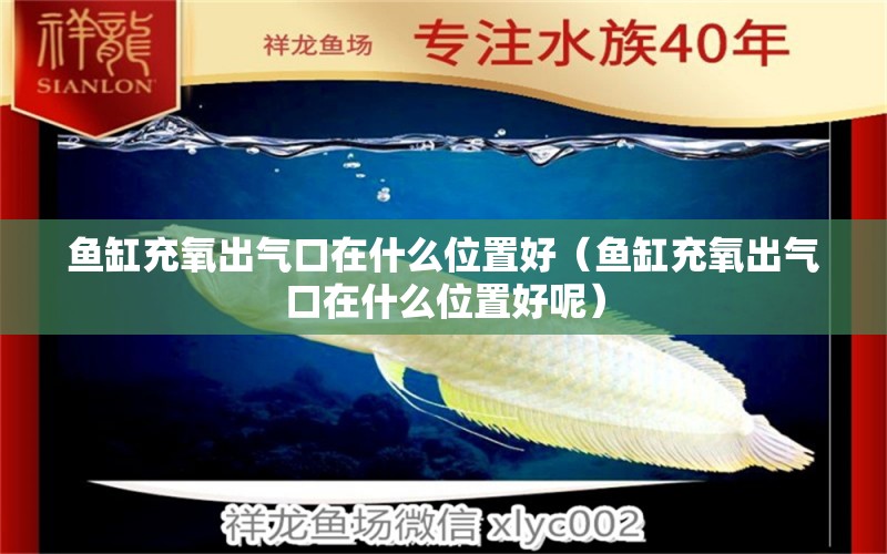 魚缸充氧出氣口在什么位置好（魚缸充氧出氣口在什么位置好呢）