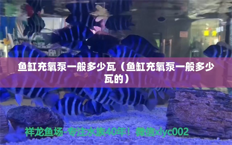 魚(yú)缸充氧泵一般多少瓦（魚(yú)缸充氧泵一般多少瓦的）