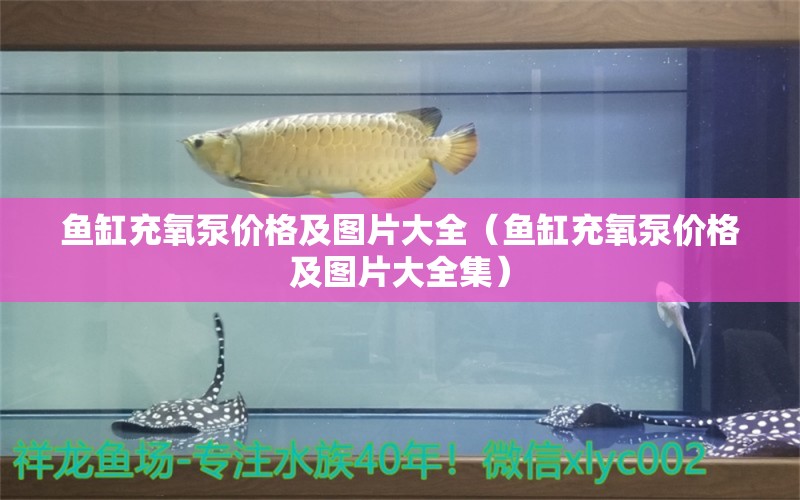 魚(yú)缸充氧泵價(jià)格及圖片大全（魚(yú)缸充氧泵價(jià)格及圖片大全集）